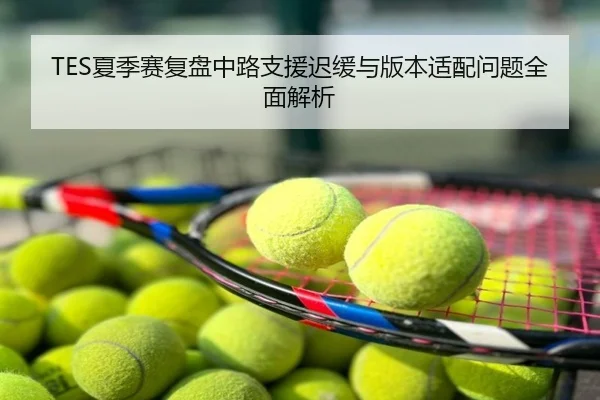 TES夏季赛复盘中路支援迟缓与版本适配问题全面解析